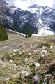 Biketour Chapfensee Vermol Alp Gamidaur 1679m 16_04_2011 (220)